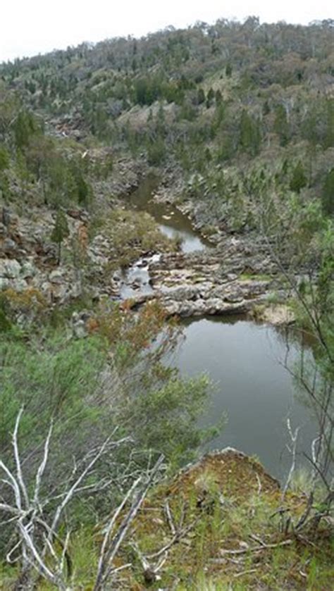 Molonglo gorge is only a 15 minute drive from the cbd, yet feels like you are in the middle of the aussie bush miles from anywhere. Molonglo Gorge (Queanbeyan): Top Tips Before You Go ...