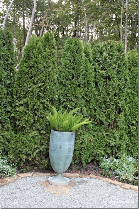 Feature Friday Serenbe Designer Showhouse Outdoor Pots Design