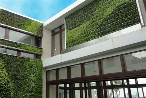 Add Color To Your Yard With Gskys Succulent Green Walls And Vertical