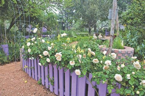 10 Beautiful Easy To Grow Climbing Roses For Your Garden Hgtv In
