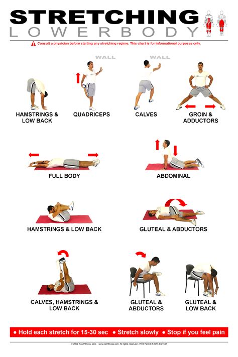 Lower Body Stretching Poster 24 X 36