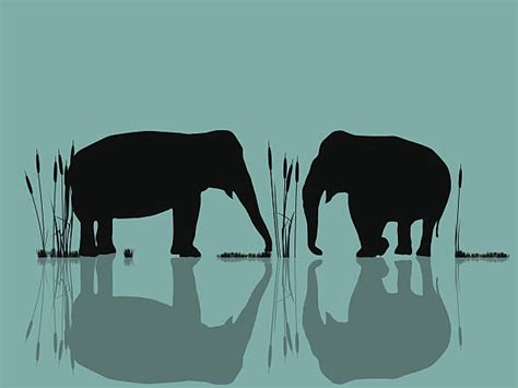 Royalty Free Elephant Drinking Water Clip Art Vector Images