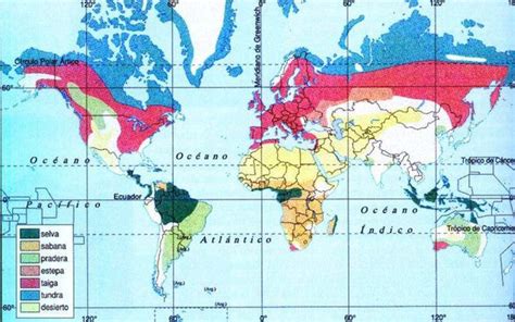 Misión Kilómetros por supuesto biomas del mundo mapa Lengua macarrónica