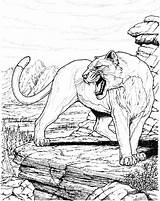 Panther Wildtiere Einzigartig Gepard Seuss Panthers Designlooter Atkinson Googleda sketch template