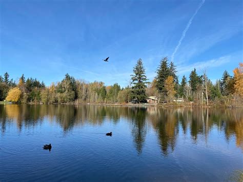 Five Mile Lake Park Auburn Washington Top Brunch Spots