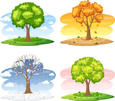 Four Seasons Tree Clip Art