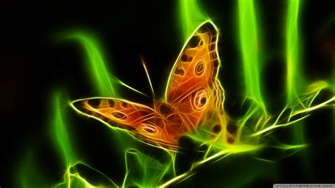 Download Butterfly 8 Wallpaper 1920x1080 Wallpoper 435741