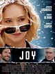 Joy - Película 2015 - SensaCine.com