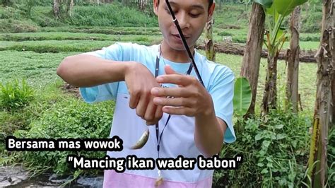 Mancing Ikan Wader Babon YouTube