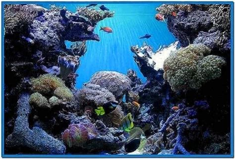 Screensaver Aquarium Real Life Download Free