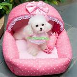 Princess Beds For Dogs Images