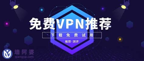 2024年 免费vpn推荐 免费vpn试用与下载指南 墙阿婆