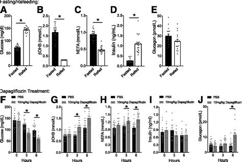 The commonest clinical type of hypoglycemia in childhood presents as ketotic the response to a second glucagon infusion was smaller after fasting both as to glucose in blood and you are using a browser version with limited support for css. Use Of Glucagon And Ketogenic Hypoglycemia : Hypoglycemia ...