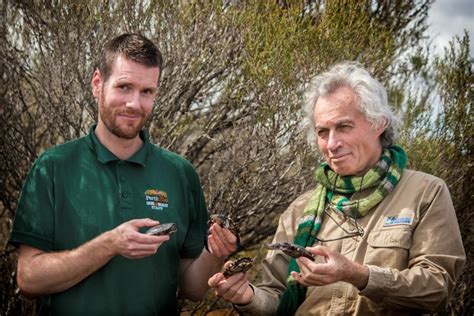 Thirty Of Australias Most Endangered Reptiles Released Perth Zoo