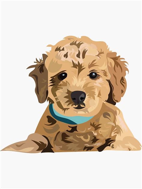 Golden Doodle Sticker By Cpickoski Goldendoodle Art Dog Illustration