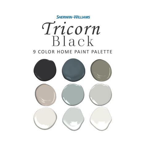 Sherwin Williams Tricorn Black Paint Color Palette Front Etsy