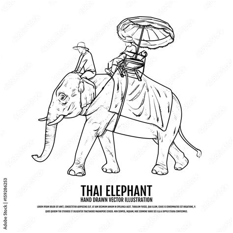 Thai Elephant Elephant Hand Drawn Vector Illustration Travel Thailand