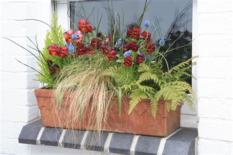 In your choice of colors and sizes, our selection of window boxes are perfect for foliage plants and flowers. Window Box Flowers for Shady Spots