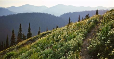 Pacific Northwest National Scenic Trail Home