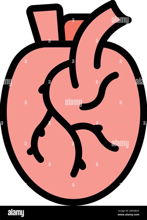 Human Heart Icon Outline Vector Medical Organ Anatomy Body Color Flat