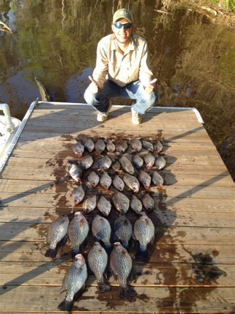 Lake Talquin Crappie Round 3 Pensacola Fishing Forum