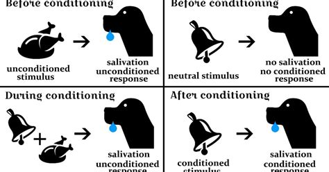 Classical Conditioning Operant Conditioning And Porn Psychology Today