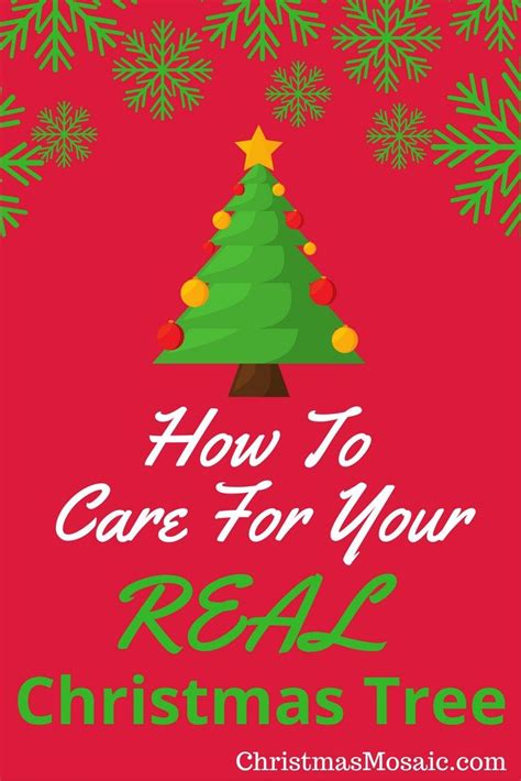 A Christmas Tree With The Words How To Care For Your Real Christmas