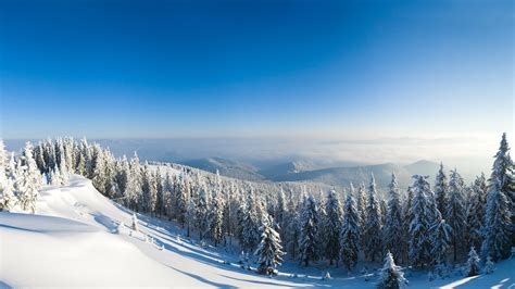 Wallpaper Winter Snow Forest Trees Mountain Top Sunshine 3840x2160