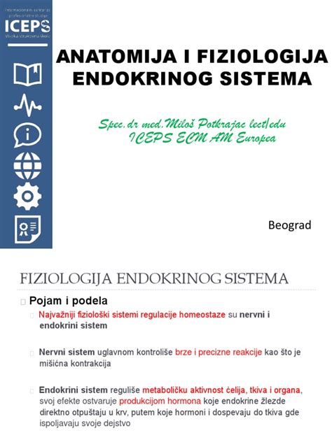 Anatomija I Fiziologija Endokrini Sistem Dr Med Miloš Potkrajac Pdf