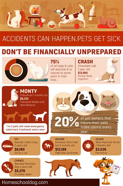 Pet insurance is there to cover you if they have an injury, illness or accident that needs veterinary treatment. Pet Insurance For Dogs State Farm