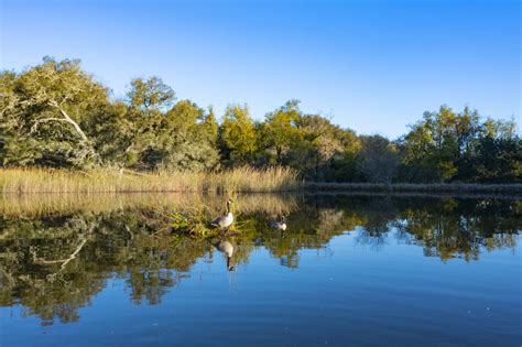 On The Market: An Equestrian Paradise In California's Wine Country