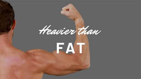 Muscle Density Vs Fat How They Affect Your Weight Stride Strong