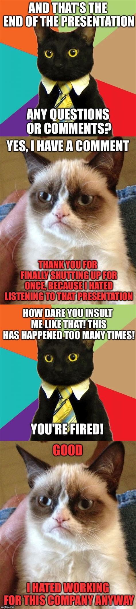Grumpy Cat Meme Thank You Emaan Eastwood
