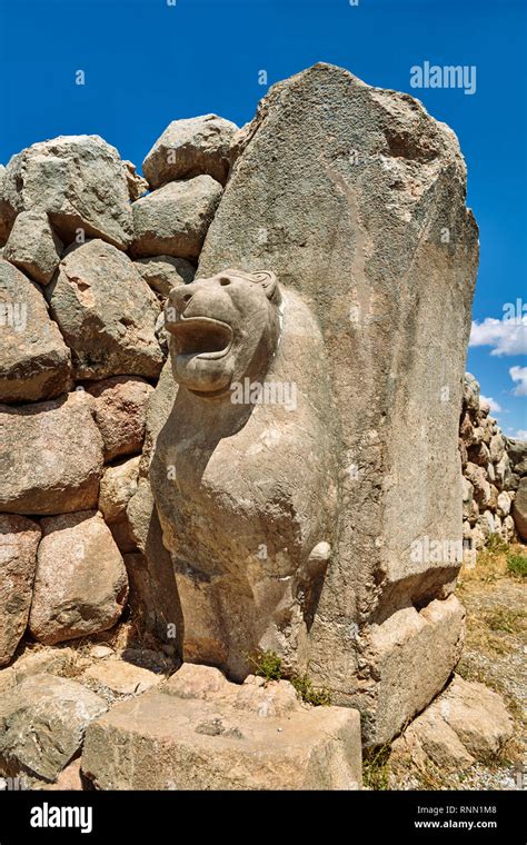 Hittite Lion Sculpture Of The Lion Gate Hattusa Also Ḫattuša Or
