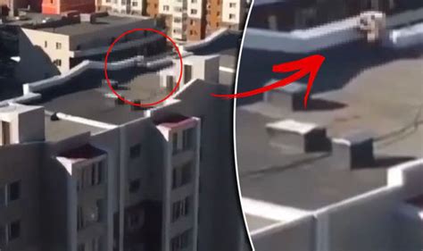 Couple Videoed Having Sex On Rooftop By Baffled Homeowner Life Life