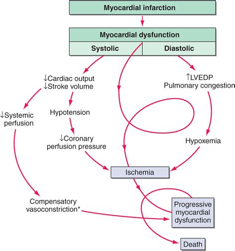 Diagram Pulmonary Edema Diagram Mydiagram Online
