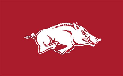 Pic Of Ar Razorback File Name Arkansas Razorbacks Wallpaper