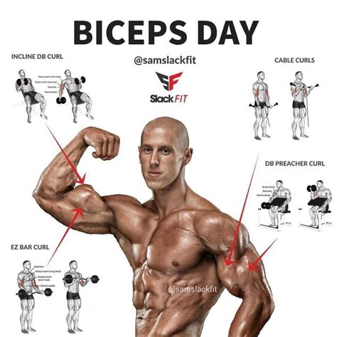 Pin By Nwilkes On Upper Body Workout Plan Gym Biceps Workout