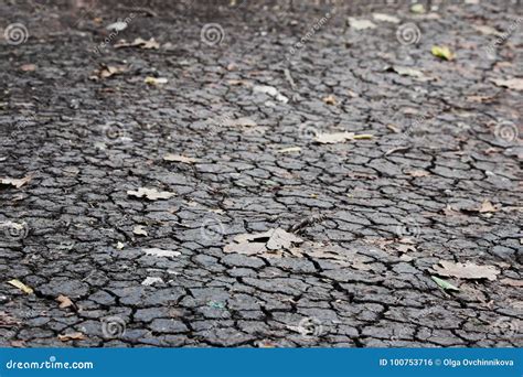 Dry Black Soil With Leaves From Trees In The Forest During A Hot Dry