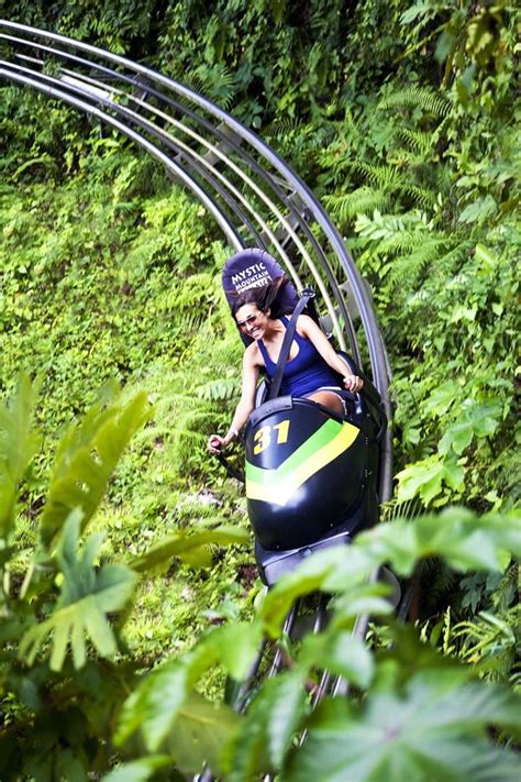 Experience An Exciting Bobsledding Ride Through The Forest In Jamaica