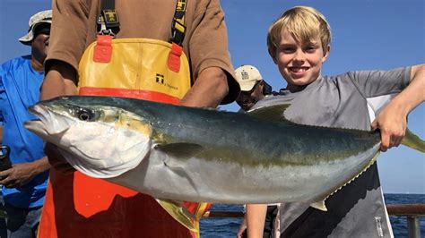 'Biggest schools of yellowtail I've ever seen' invade ...