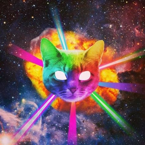 Cats Lasers Explosions And Space Pretty Much The Most Amazing