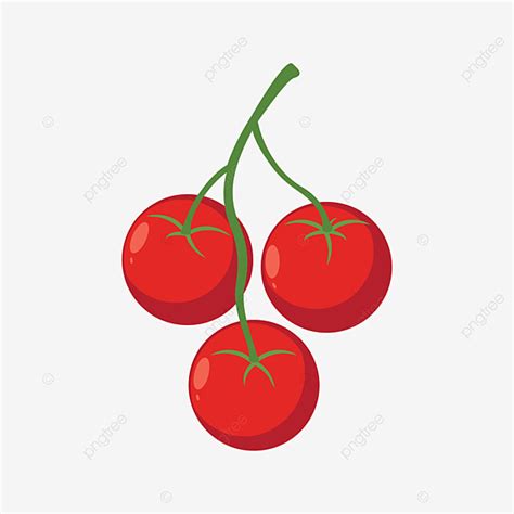 Vector De Dibujos Animados De Tomate Cherry Png Vector Vegetal De