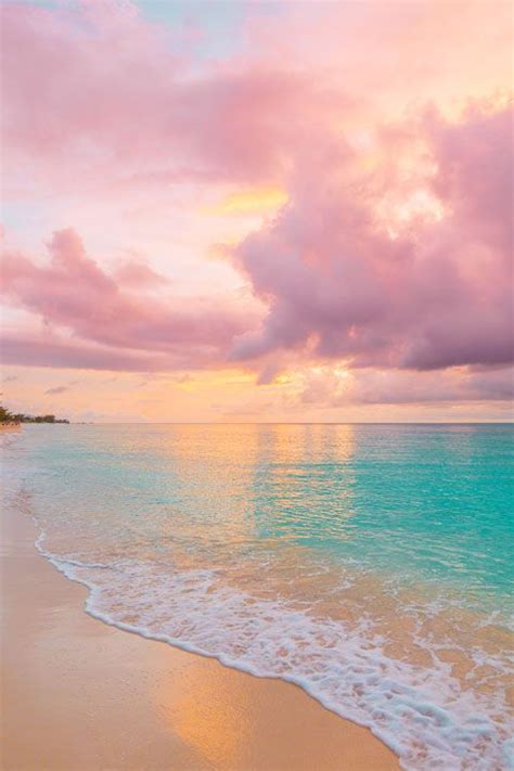 The Cayman Cookout An Unforgettable Culinary Experience Beach Wallpaper Ocean Wallpaper