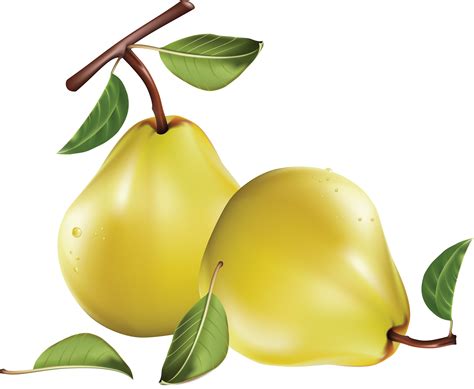 Pear Png Image Transparent Image Download Size 3567x2929px