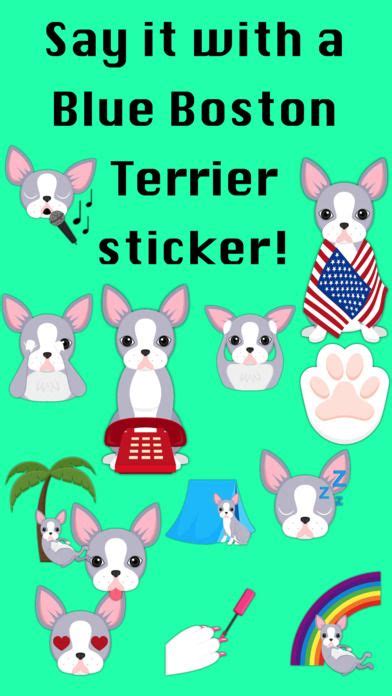 Send Your Friends Cute Blue Silver Boston Terrier Emojis With This
