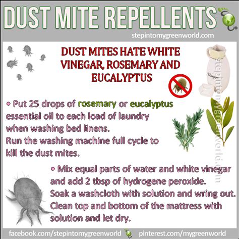 Are Dust Mites Lurking In Your Bed Here Are Natural Ways To Get Rid Of