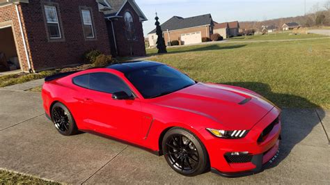 2017 Race Red Gt350i Think I Finally Know What True Love Is 2015
