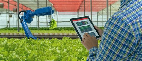 Intelligenza Artificiale E Robotica In Agricoltura Applicazioni