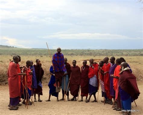 United republic of tanzania ˌtænzəˈniːə или tænˈzeɪniə. Танзания, посещение деревни масаев